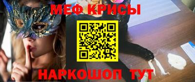 СК Новодвинск