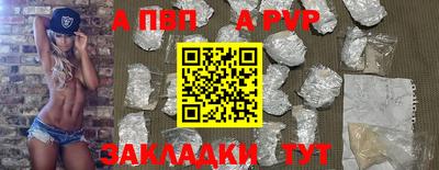 СК Новодвинск
