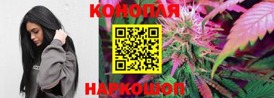 герыч Новозыбков