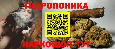 a pvp Новокубанск
