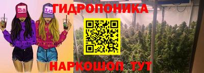 СК Новодвинск