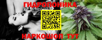 a pvp Новокубанск