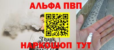 СК Новодвинск