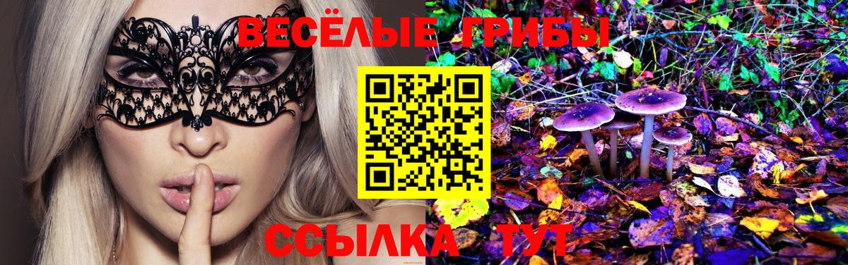 Галлюциногенные грибы Magic Shrooms Астрахань